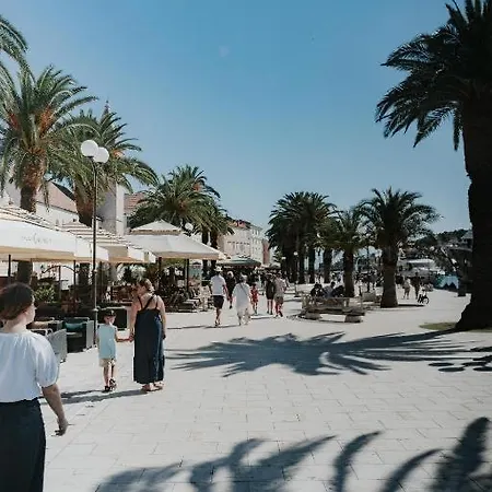 Lavender Tree - Luxury * Trogir